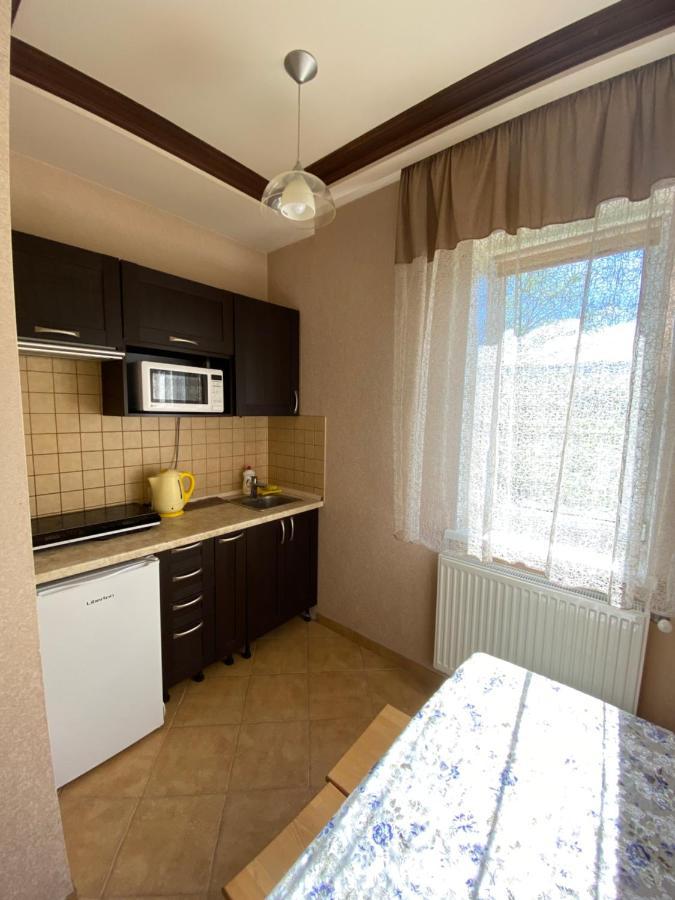 Приватна Садиба Європа Solochyn Extérieur photo
